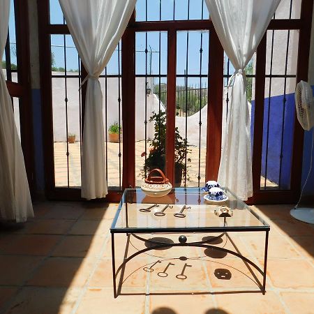 Готель Casa Erizo 39 (Adults Only) Гуанахуато Екстер'єр фото