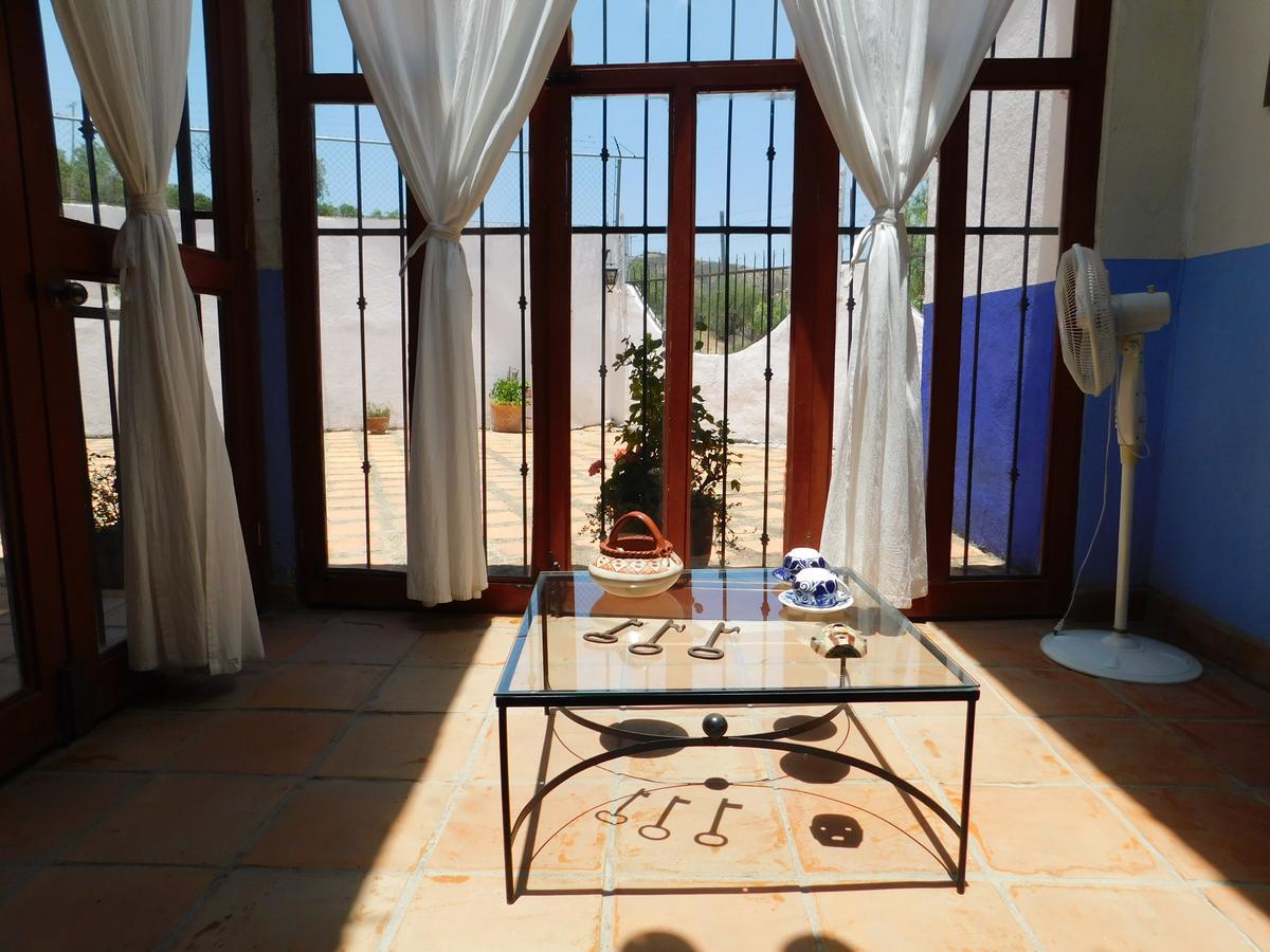 Готель Casa Erizo 39 (Adults Only) Гуанахуато Екстер'єр фото