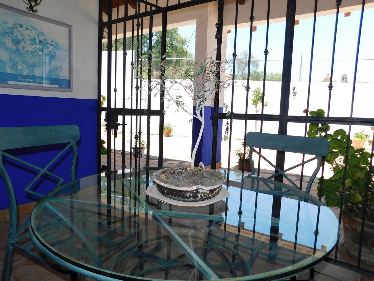Готель Casa Erizo 39 (Adults Only) Гуанахуато Екстер'єр фото