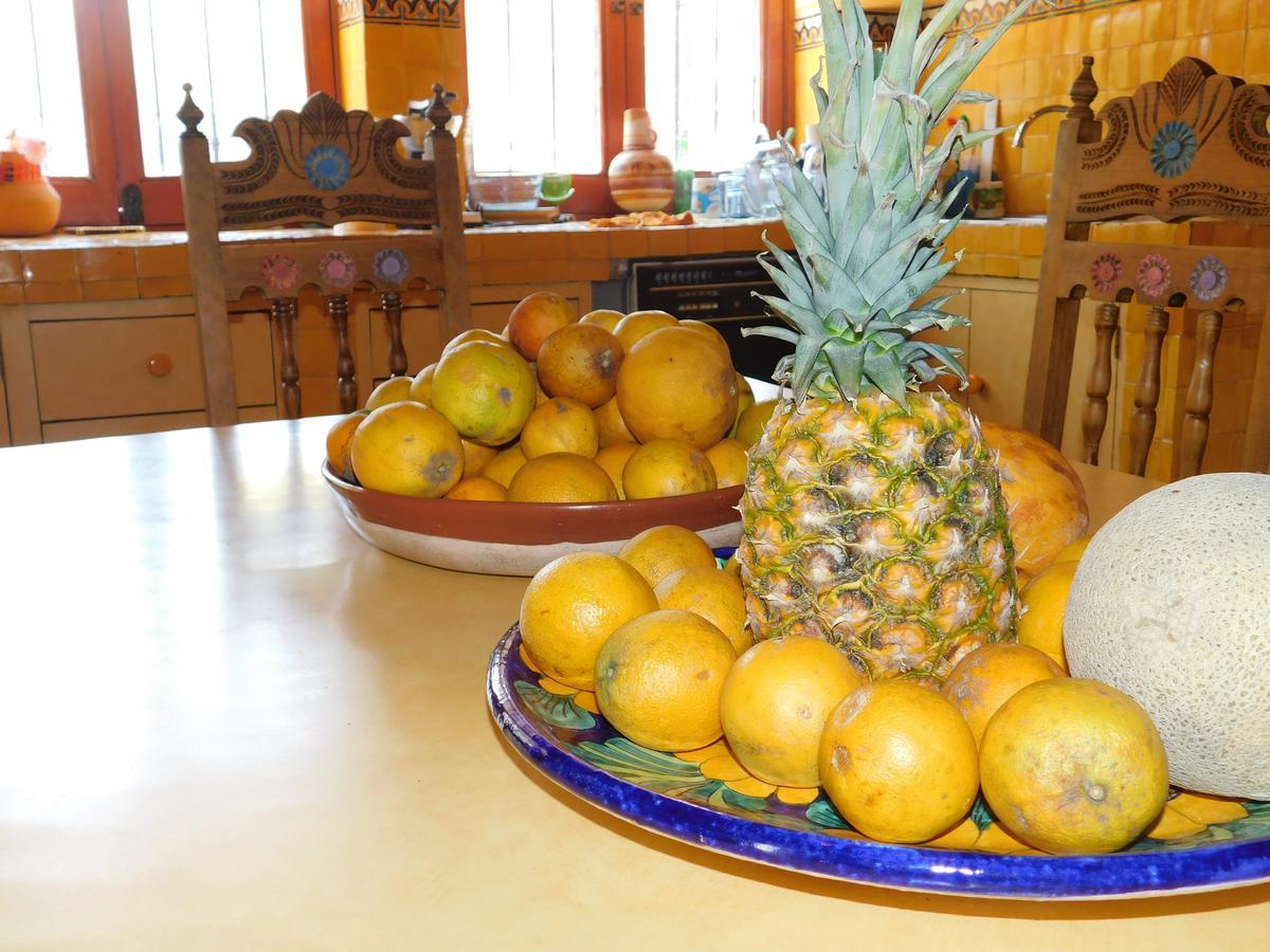 Готель Casa Erizo 39 (Adults Only) Гуанахуато Екстер'єр фото